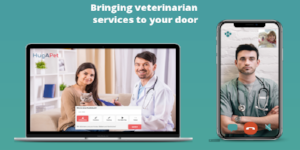Digital veterinary services