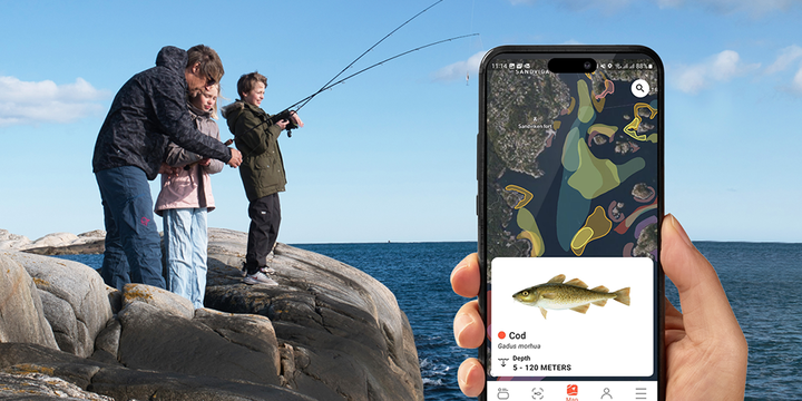 Fishbuddy: Find Out What to Catch, Where, and How